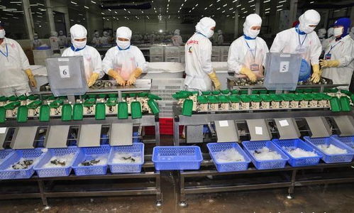 為何說越南不可能完成工業化呢 原因主要是三點